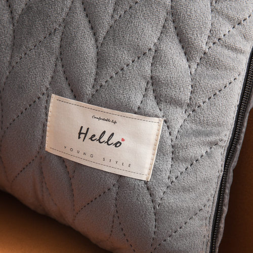 高级抱枕被子二合一丝绒轻奢抱枕被子两用加厚汽车靠垫沙发午睡枕 - 图2