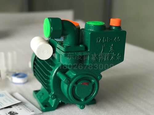 广东凌霄水泵 清水IZDB-45自吸自来水笔家用增压泵单相铸铁 - 图0