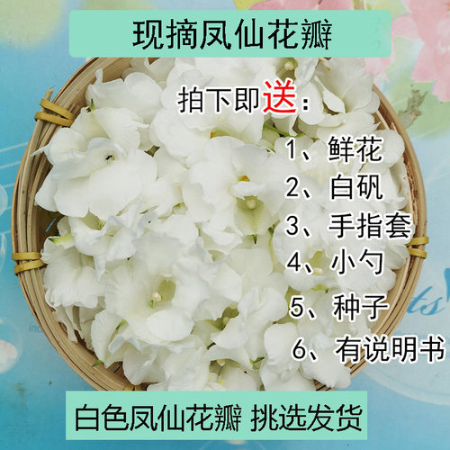 现摘白色凤仙花指甲草花染指甲花红凤仙花鲜花瓣泡醋花粉种苗 - 图2