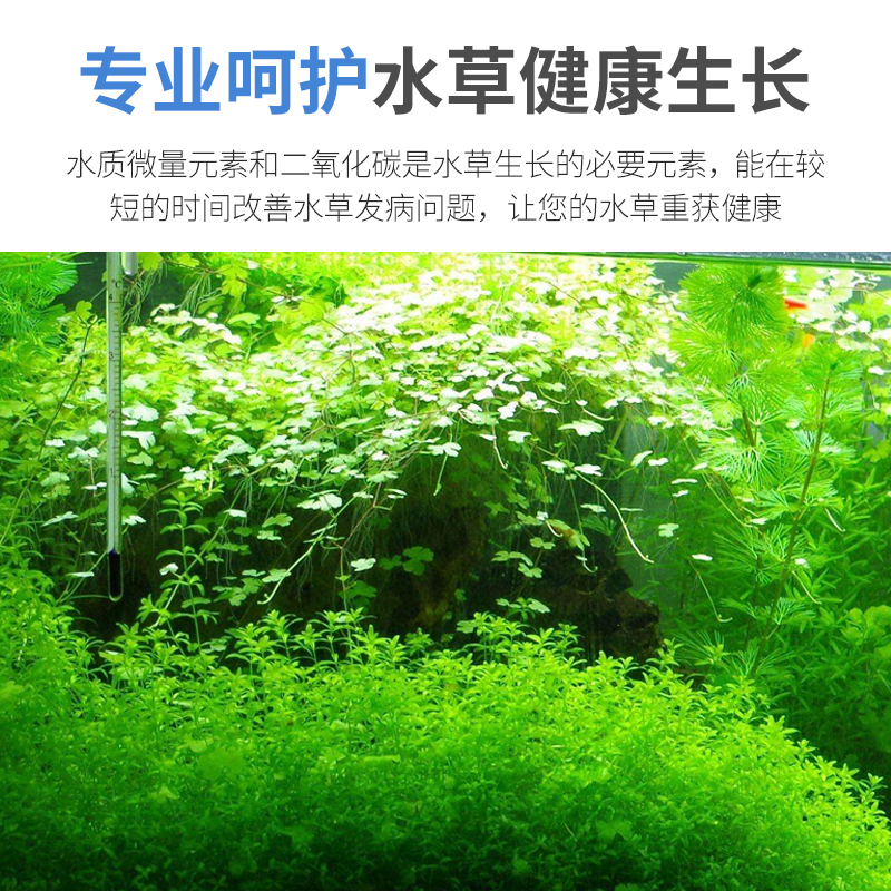 二氧化碳泡腾片水草缸专用CO2片缓释片鱼缸CO2发生器替换片水族箱 - 图0