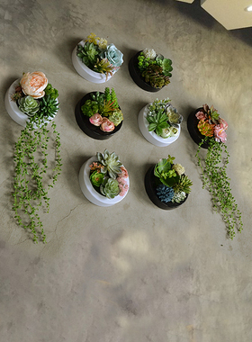 仿真多肉绿植物花草装饰店铺墙壁