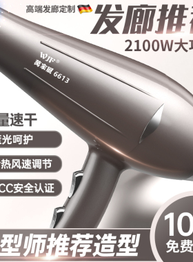 冷热速干理发店专用负离子大功率