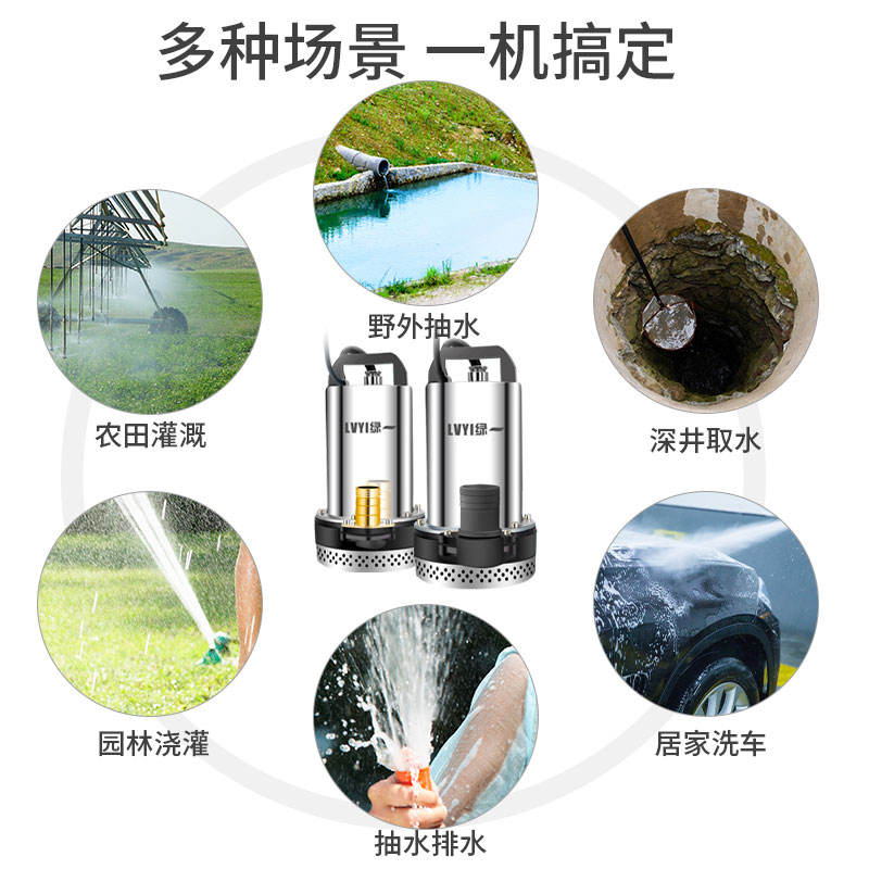 绿一农用48V直流潜水泵12V48V60V高扬程电动车家用抽水泵 水泵