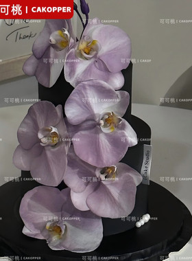 小红书韩式紫色蝴蝶兰花束摆件搭配珍珠串甜品台蛋糕装饰烘焙插件
