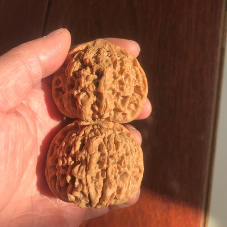 52mm龙鼎纹官帽一物一图麻核桃文玩把件老树圆润自然矮桩大肚麒麟,淘宝优惠券,粉丝福利购,淘宝优惠卷