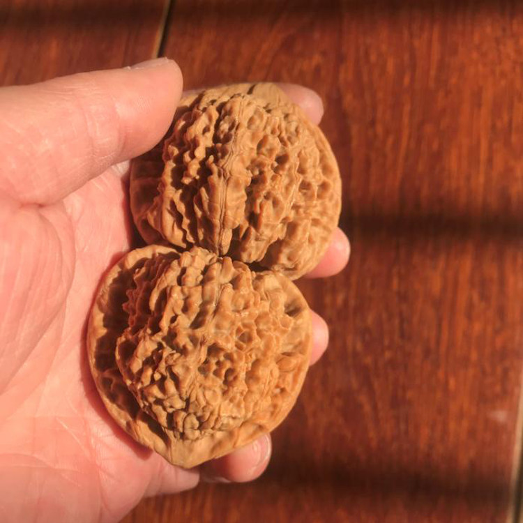 52mm龙鼎纹官帽一物一图麻核桃文玩把件老树圆润自然矮桩大肚麒麟,淘宝优惠券,粉丝福利购,淘宝优惠卷