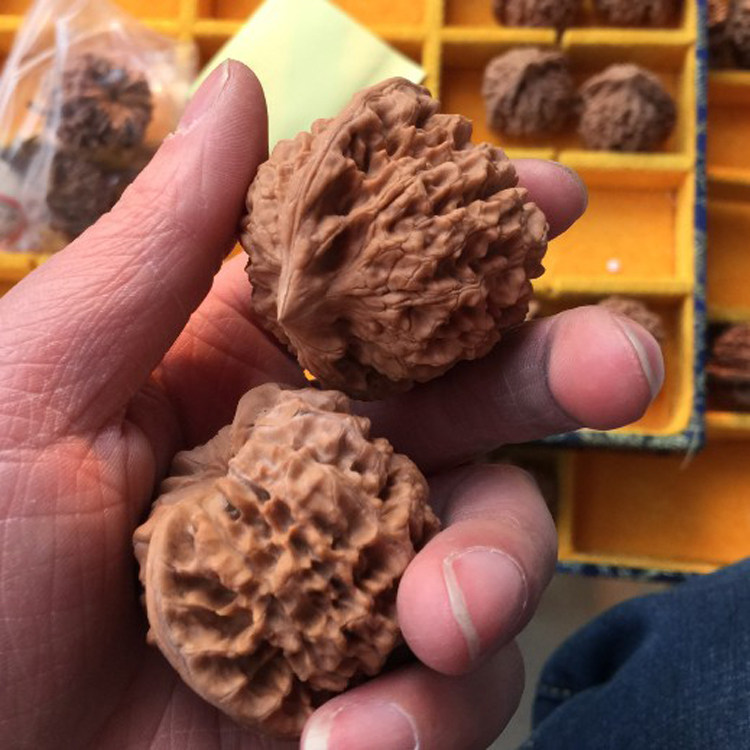 3号涞水麻核桃文玩把玩46mm麒麟纹王勇官帽手把件自然桩压手厚实,淘宝优惠券,粉丝福利购,淘宝优惠卷