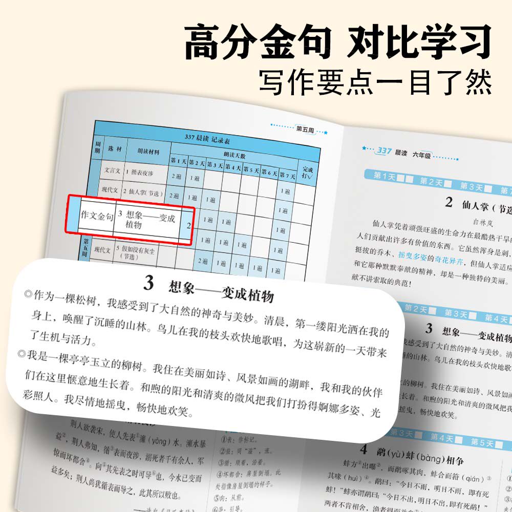 小橙同学337晨读法一二三四五六年级中国妈妈每日晨读打卡表一年级计划阅读课外早读晨诵暮晚读理解优美句子好词好句好段日有所诵