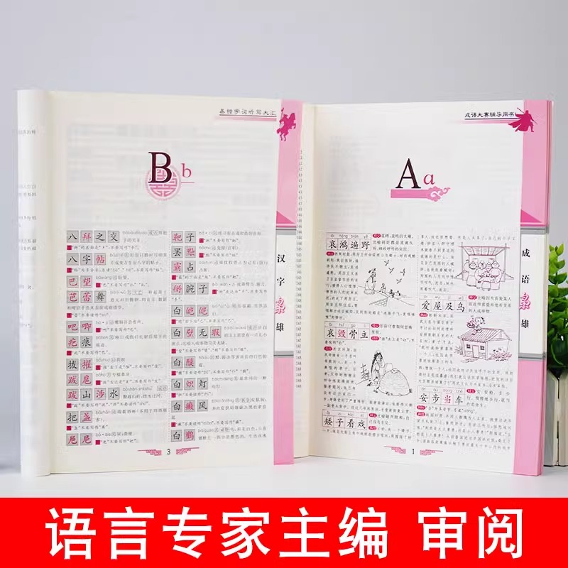 当当网 汉字枭雄成语枭雄易错字词听写大汇成语大赛辅导用书实战版中小学教学参考资料教辅汉语言图文诠释易错字词听写大会参考书