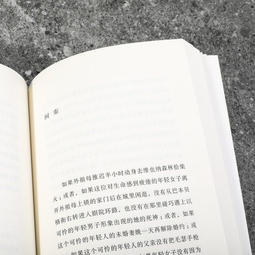 白日尽头 燕妮埃彭贝克作品 当代德语文坛翘楚 一部堪称完美的欧洲小说 一个女人的史诗也是一个充满黑暗秘密的国家的寓言外国小说 - 图2