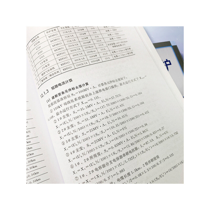 当当网 电力系统继电保护——原理·算例·实例 周长锁 化学工业出版社 正版书籍 - 图3