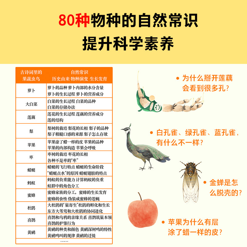 古诗词里的自然常识(全4册)吃萝卜为什么爱放屁?白鹭为什么排成一行飞?古诗词和自然常识两手抓,孩子综合素养顶呱呱!7岁+
