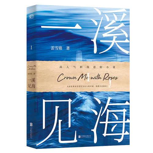 一溪见海.I（国内教科书级别的女性职场小说。被排挤打压、遭遇背叛或恶意竞争、职场冷暴力或职场PUA的应对方式，强共鸣、有启发 - 图0