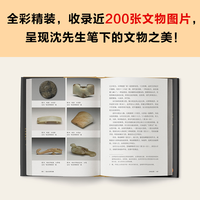 当当网 沈从文讲文物 近200张彩插把6000年文物分门别类地看个遍从此掌握看文物的门道 看懂玉器陶瓷漆器等文物的门道 正版书籍