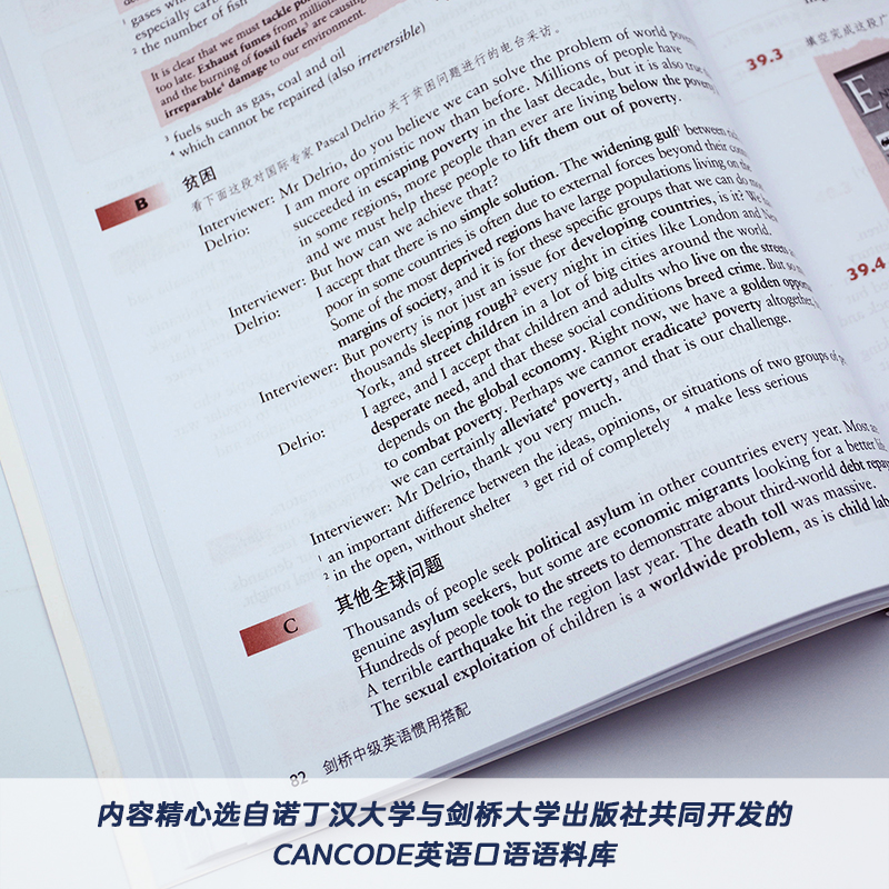 外研社 剑桥中级英语惯用搭配 剑桥英语English in Use丛书中文版 - 图3