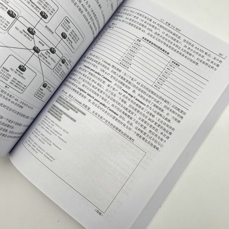 当当网 TCP/IP路由技术 第2卷 （第2版） [美]杰夫 多伊尔（Jeff Doyle） 人民邮电出版社 正版书籍 - 图3