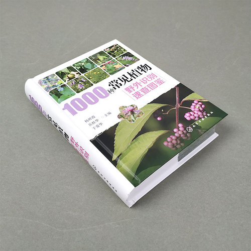 当当网1000种常见植物野外识别速查图鉴 杨辉霞 家庭书籍野外识别原植物鉴别图册中国常用手册 图识别与应用图典图谱 - 图0