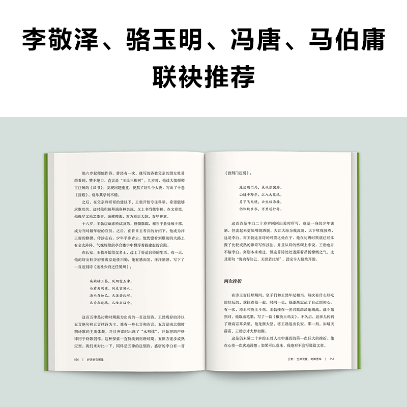 【当当网赠明信片】 好诗好在哪里 听都靓讲解古诗名句的美妙诗意！骆玉明马伯庸推荐 传统文化 唐诗宋词 文学随笔