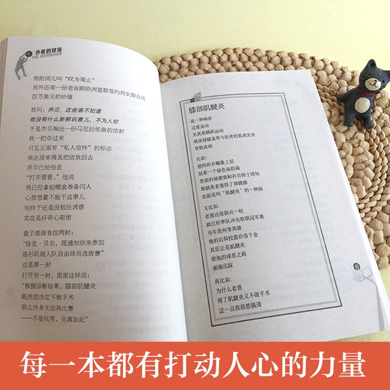 新版·长青藤国际大奖小说书系·第6辑：乔希的球场 - 图2