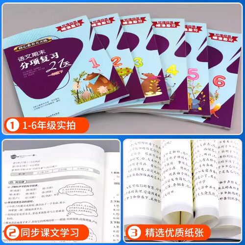 当当网 核心素养天天练语文期末分项复习21天数学核心高阶能力培养一二三四五六年级上册下册部编人教版小学同步训练练习册单元卷 - 图0