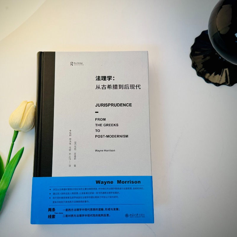 【当当网直营】法理学：从古希腊到后现代 一部写给法律人共同体法律思想史 西方法理学的通识性著作 北京大学出版社 正版书籍 - 图1