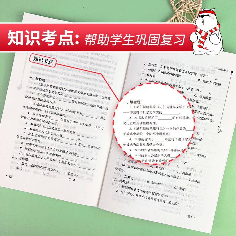 当当网正版书籍 尼尔斯骑鹅旅行记快乐读书吧六年级下册课外阅读南方出版社中小学生课外阅读指导丛书无障碍阅读 - 图2