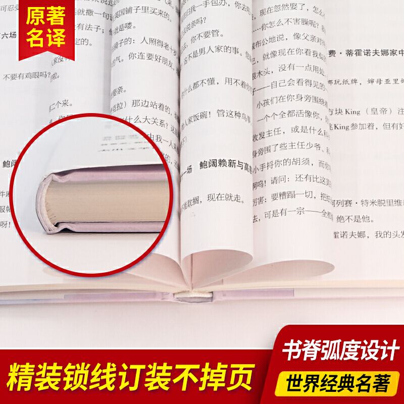 当当网正版书籍钦差大臣精装全译本果戈里著世界经典文学名著初高中生课外读物-图3