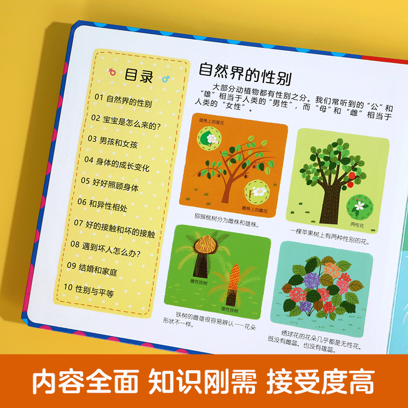 乐乐趣入园准备常识系列-性别常识互动游戏书