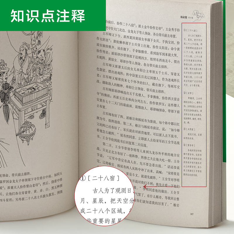 【当当网 正版书籍】杨家将 青少版插图本 课外阅读 畅销5周年新版修订 好评如潮 - 图3