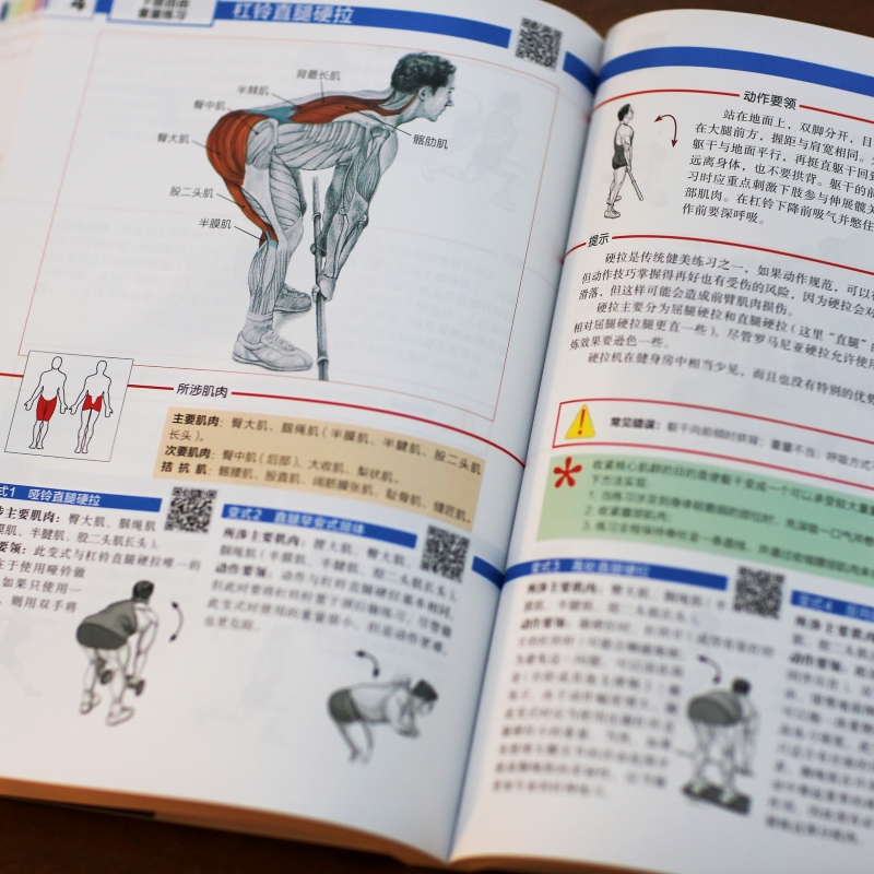 当当网力量训练解剖全书 肌肉与力量的解剖学与认知及科学训练方案 1000多幅解剖图+400多项肌肉练习+300多个配套视频 正版书籍 - 图3