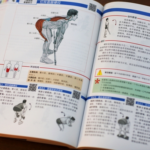 当当网力量训练解剖全书肌肉与力量的解剖学与认知及科学训练方案1000多幅解剖图+400多项肌肉练习+300多个配套视频正版书籍