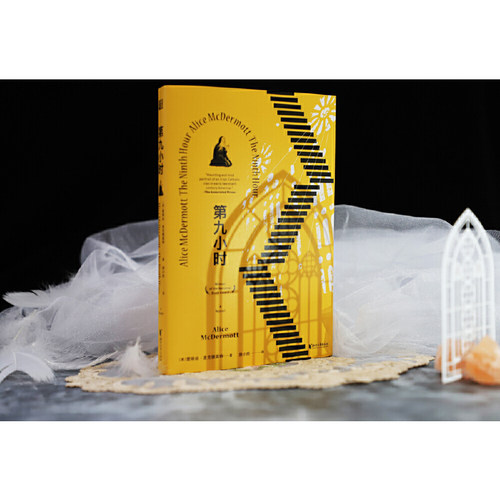 当当网 第九小时（美国国家图书奖得主 爱丽丝·麦克德莫特长篇小说） 爱丽丝·麦克德莫特 浙江文艺出版社 正版书籍 - 图0