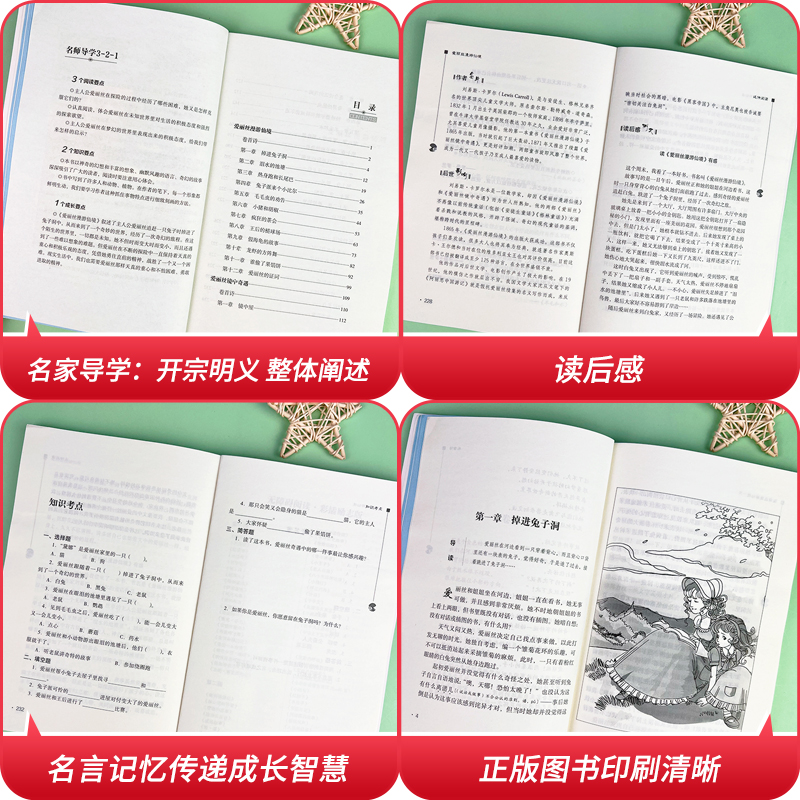 当当网正版书籍 爱丽丝漫游仙境 快乐读书吧 六年级下册 南方出版社 中小学生课外阅读指导丛书无障碍阅读彩插励志版 - 图3