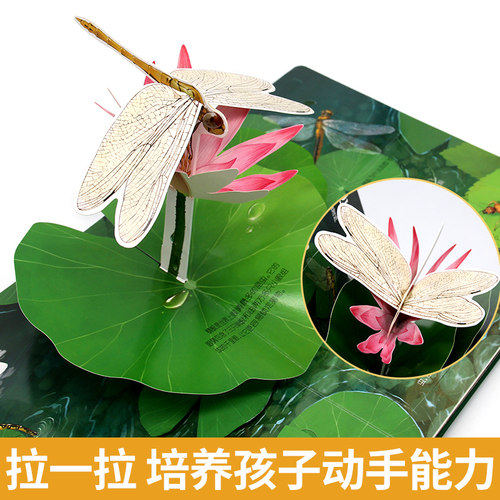 当当网正版童书 揭秘立体翻翻书昆虫篇 3-4-5-6岁硬壳读物3d立体机关书推拉绘本故事书宝宝启蒙早教0到2岁撕不烂益智立体玩具书 - 图2