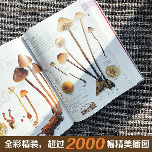 【当当网正版书籍】DK蘑菇大百科视觉工具书经典品牌DK打造，可以放在书架上的蘑菇博物馆；真菌狂热分子的不二选择