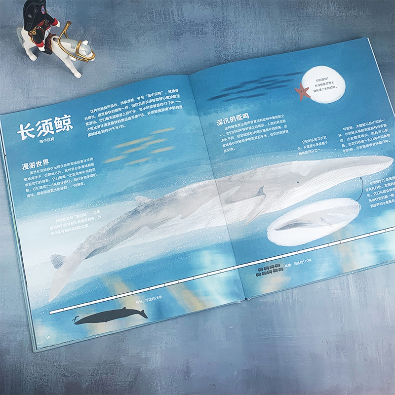 鲸鱼的世界 知识性与艺术性兼具的高颜值科普图册， 全方位了解鲸鱼家族，深入探秘17种鲸鱼。 - 图1