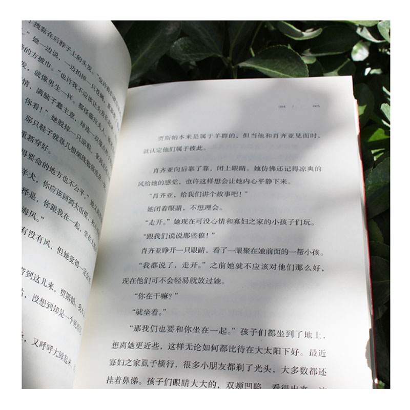 图 4