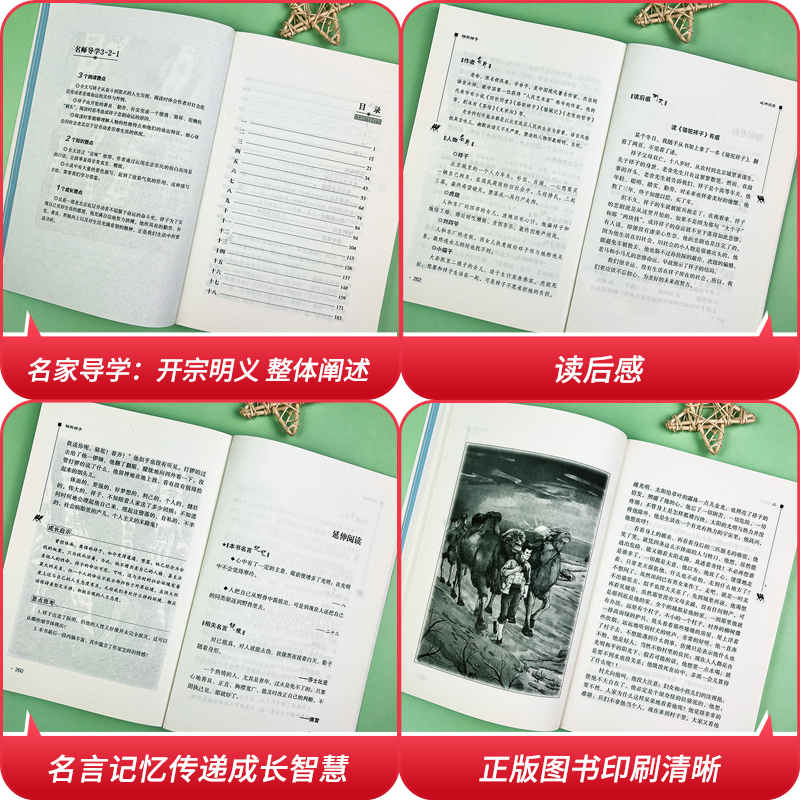 当当网书籍 骆驼祥子和海底两万里正版书原著 初中版 七年级必读正版 完整版下册中学生课外阅读指导丛书无障碍彩插励志版文学经典 - 图2