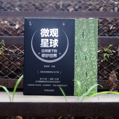 【当当网】微观星球(显微镜下的奇妙世界共4册) 吴成军 植物动物 生物 化学物理 科学普及 艺术审美 近千实拍图片正版 - 图3