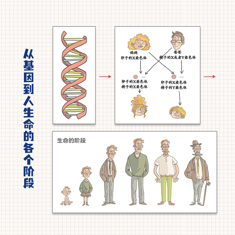 人体是如何工作的 正版书籍 - 图1