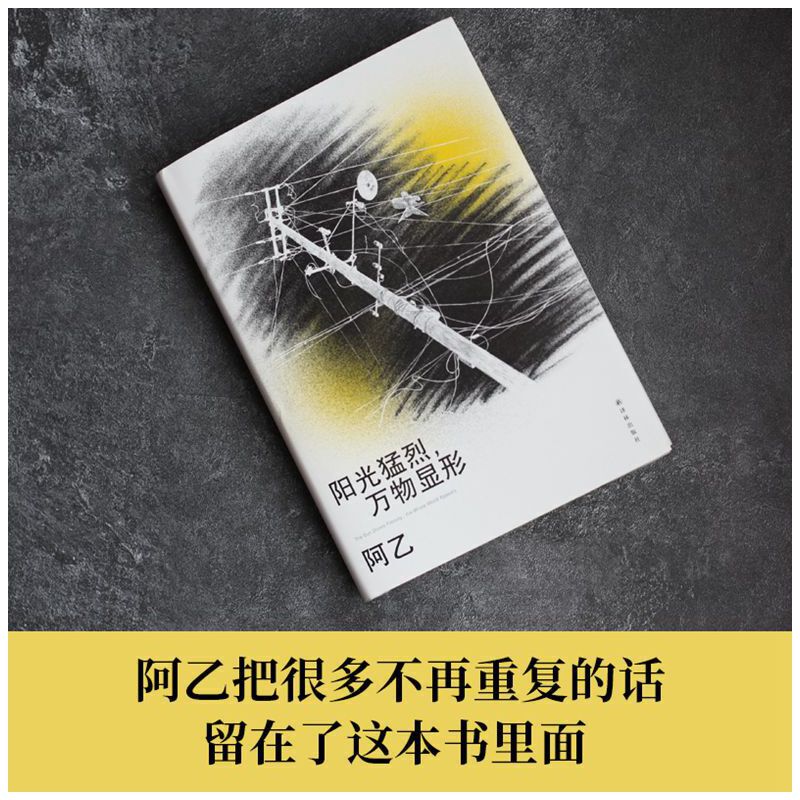 当当网阳光猛烈，万物显形（作家阿乙的人生词典，歌手李健推荐：“阿乙人有趣，作品精彩，这本随笔阿乙译林出版社正版书籍-图3