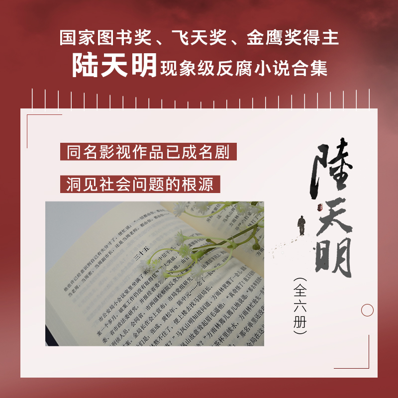 陆天明反腐小说作品集精选（共6册盒装）：省委书记+大雪无痕+苍天在上+高纬度战栗+命运2册