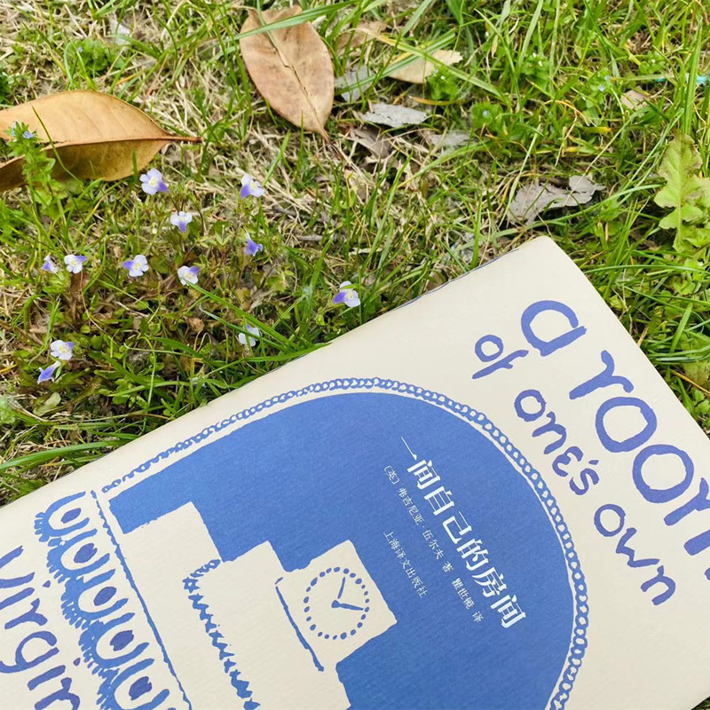 【当当网】一间自己的房间 伍尔夫著文集 瞿世镜译 女性主义奠基作品 《我的阿勒泰》台词 李银河、杨澜推荐 布面内封 上海译文,淘宝优惠券,粉丝福利购,淘宝优惠卷