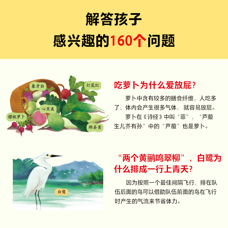 古诗词里的自然常识(全4册)吃萝卜为什么爱放屁?白鹭为什么排成一行飞?古诗词和自然常识两手抓,孩子综合素养顶呱呱!7岁+
