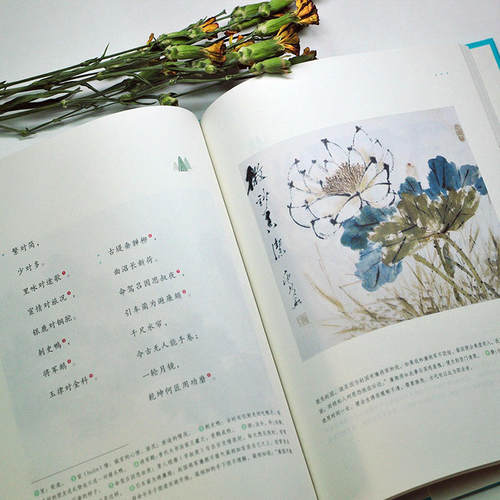 和孩子共读的国学启蒙：声律启蒙 - 图2