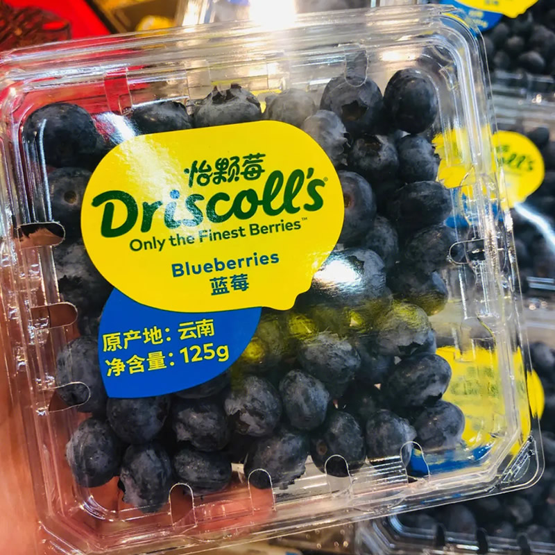 DRISCOLL'S怡颗莓蓝莓鲜果新鲜云南孕妇水果当季限定特大果包邮 - 图0