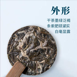 福海茶厂2023年新品迷你普洱茶小福饼刮风寨小圆片普洱茶小方片茶