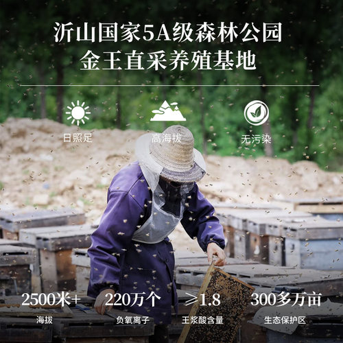【6瓶装】癸稀酸≥6.0新鲜蜂王浆冻干粉片蜂皇浆胶囊鲜王浆片金王 - 图0