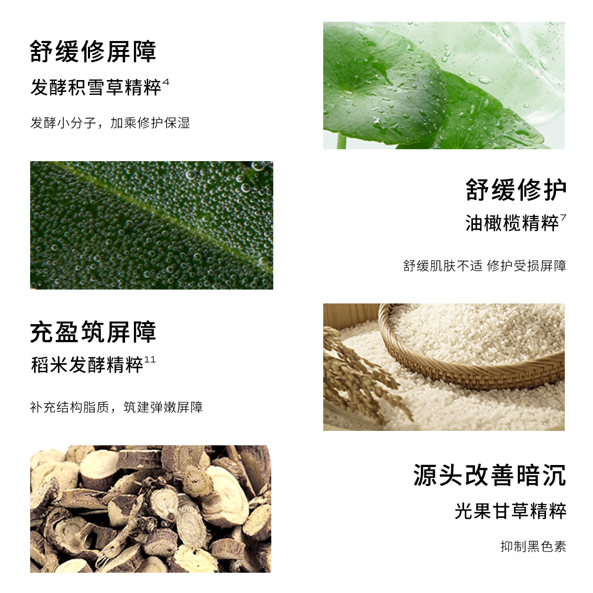 一叶子植物酵素水漾焕颜面膜组合玻尿酸补水面膜保湿润肤旗舰正品