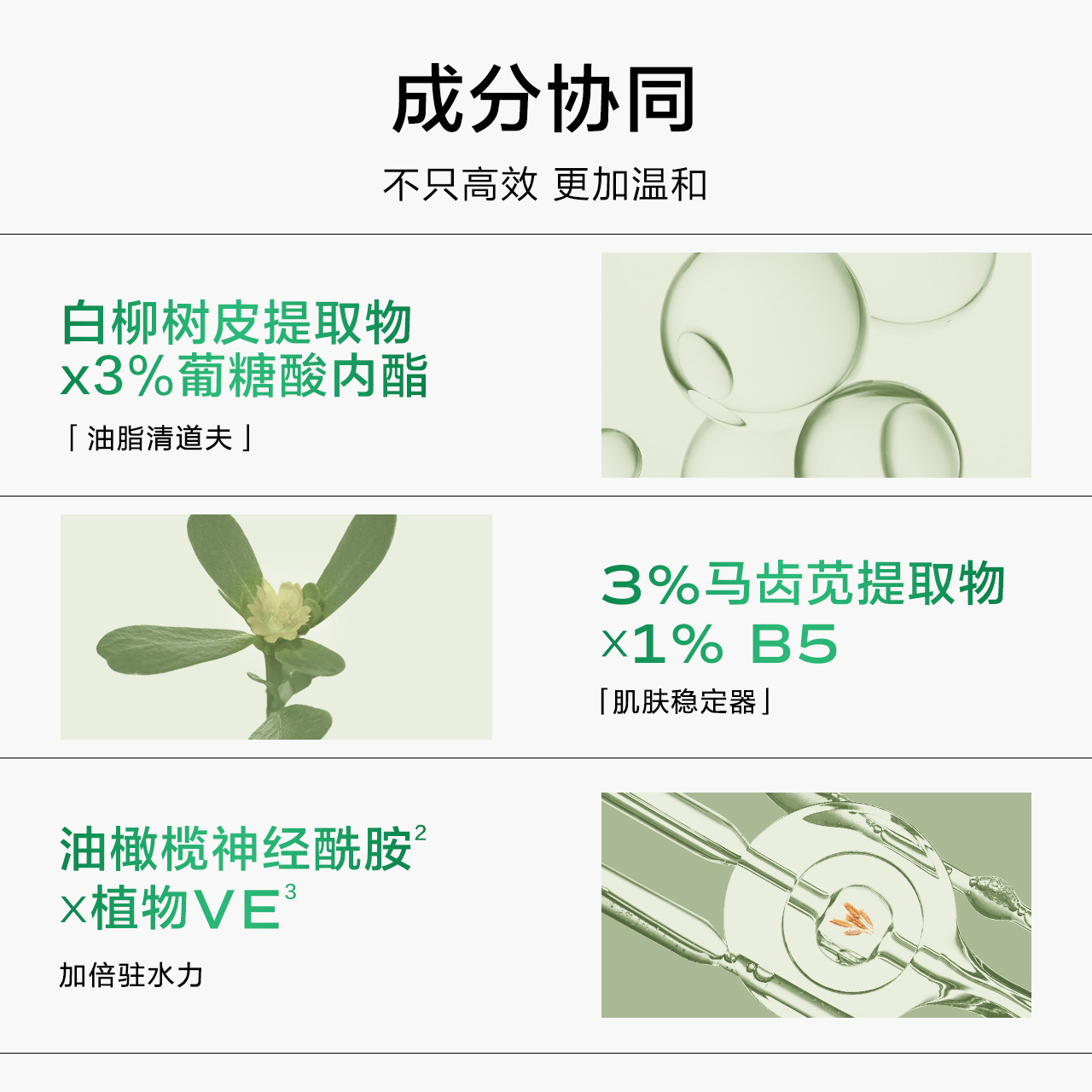  一叶子面部护理套装